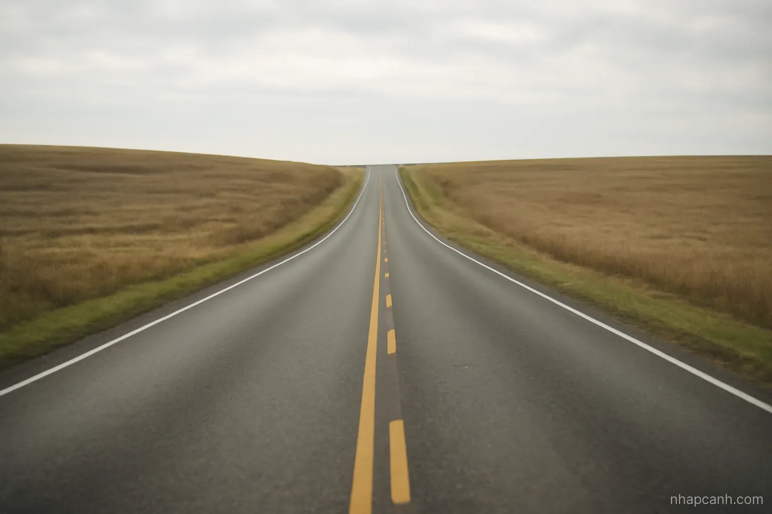 an empty two-lane road crossing a low hill with open fields on both sides, no barrier and no signpost, soft overcast daylight